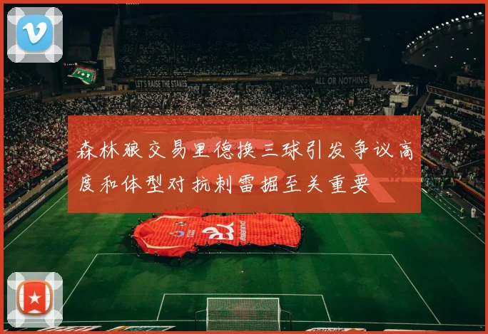 森林狼交易里德换三球引发争议高度和体型对抗刺雷掘至关重要