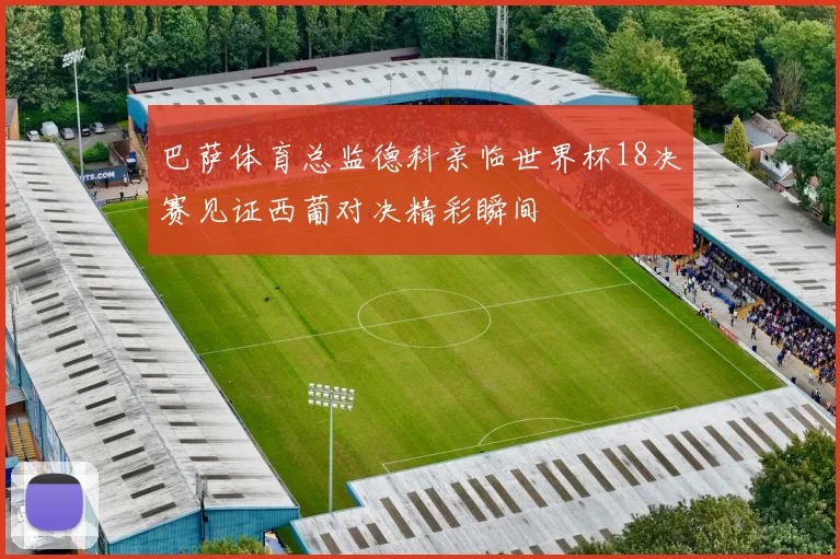 巴萨体育总监德科亲临世界杯18决赛见证西葡对决精彩瞬间
