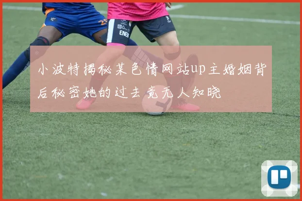 小波特揭秘某色情网站up主婚姻背后秘密她的过去竟无人知晓